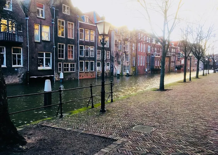 Studioextra Incl Auto P 3*