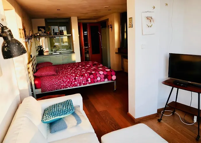 Studioextra Incl Auto P Bed and Breakfast