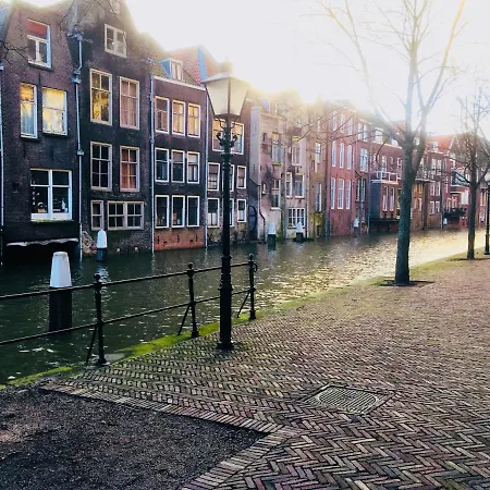 Studioextra Incl Auto P 3*